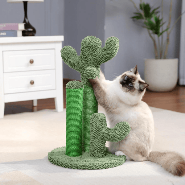 Kaktus - Den skrabende kaktus - M (53*32cm) - - Cat - Fashionfordays