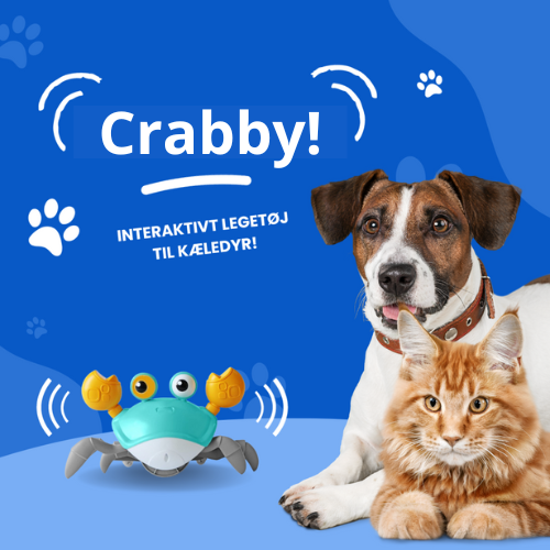 Crabby - Sjove dage for dit kæledyr! - - - Kæledyr - FashionforDays