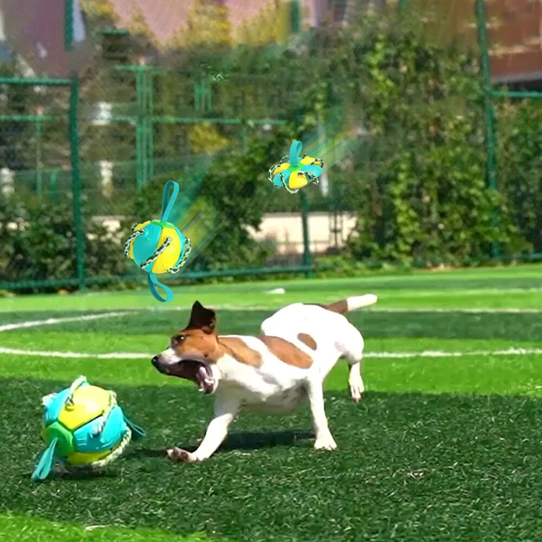 50% RABAT | FetchFrenzy™ | Uforgængelig 2-i-1 hundebold frisbee med reb - Gul Grøn - 0 - pets pp - FashionforDays
