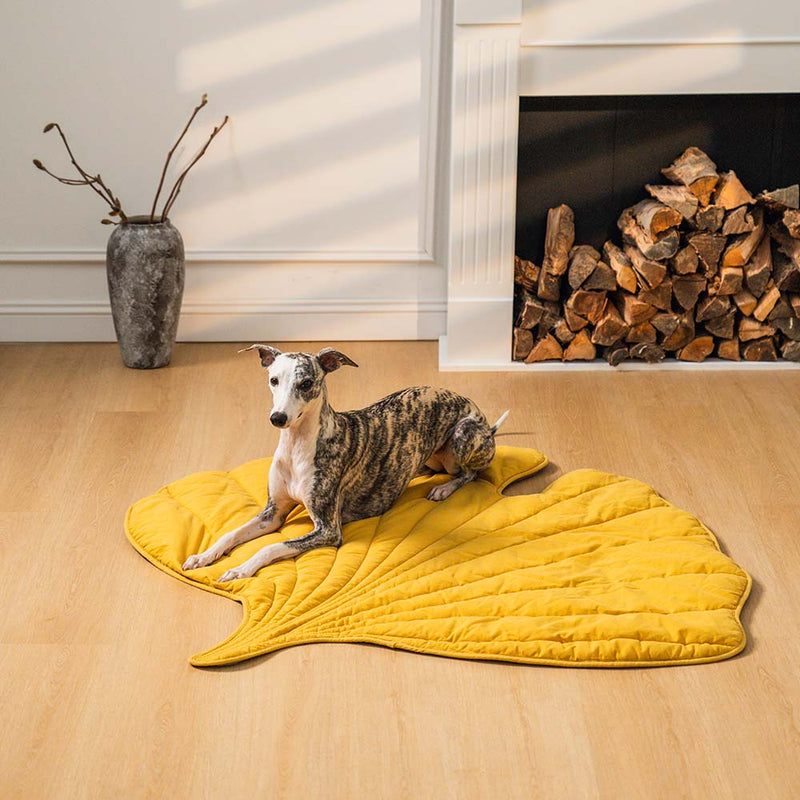 Bladformet Hundetæppe - - Dog Beds - badge_Hot relatedt4_ymal-leaf-shape-dog-blanket - FashionforDays