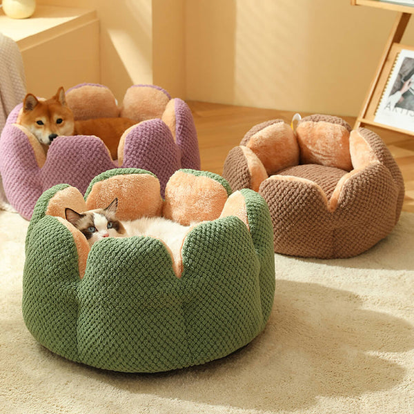 Komfortabel Kæledyrsseng Fra Kaktusform - - Cat Beds - For Pets pet care Pet Toy pet toys pets Price $50+ - FashionforDays
