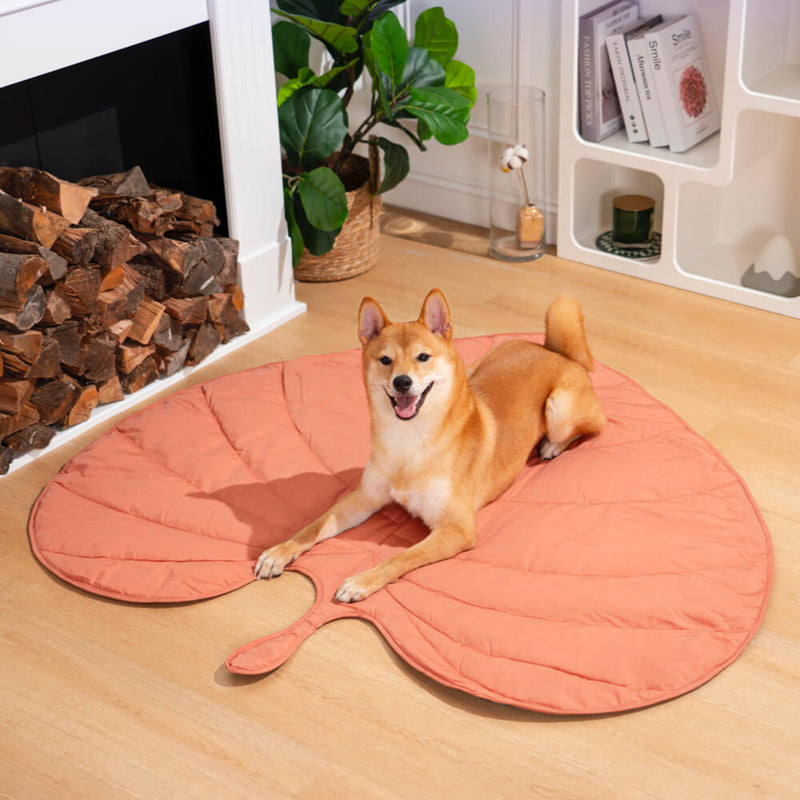 Bladformet Hundetæppe - Anthurium Pink - Dog Beds - badge_Hot relatedt4_ymal-leaf-shape-dog-blanket - FashionforDays