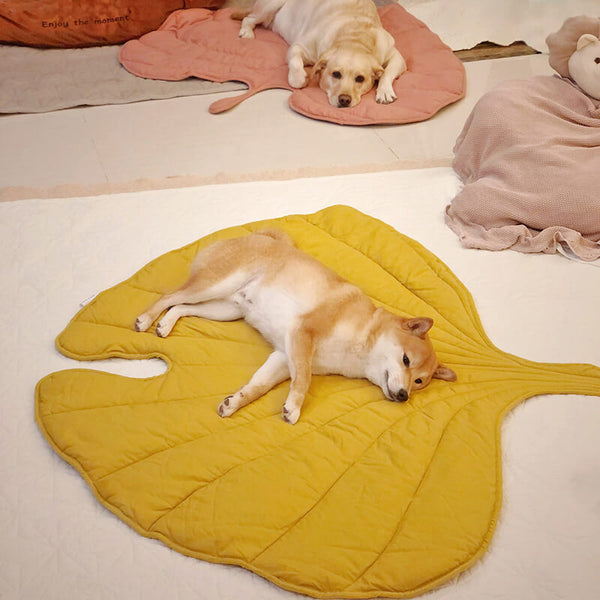Bladformet Hundetæppe - Ginkgo Gul - Dog Beds - badge_Hot relatedt4_ymal-leaf-shape-dog-blanket - FashionforDays
