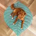 Bladformet Hundetæppe - Elm Grøn - Dog Beds - badge_Hot relatedt4_ymal-leaf-shape-dog-blanket - FashionforDays